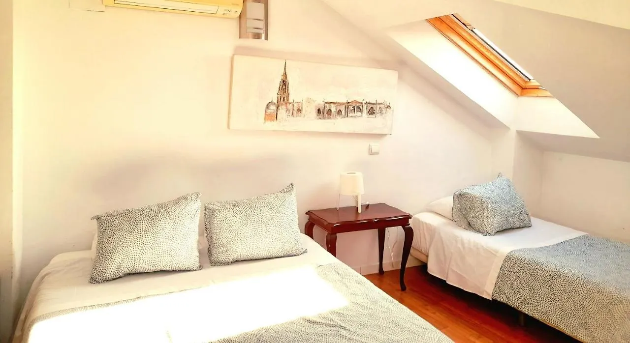 Toletum Low Cost Lofts Diafanos O 2Dormitorios Parking Municipal Gratis Al Aire Libre A 100M Toledo Spain