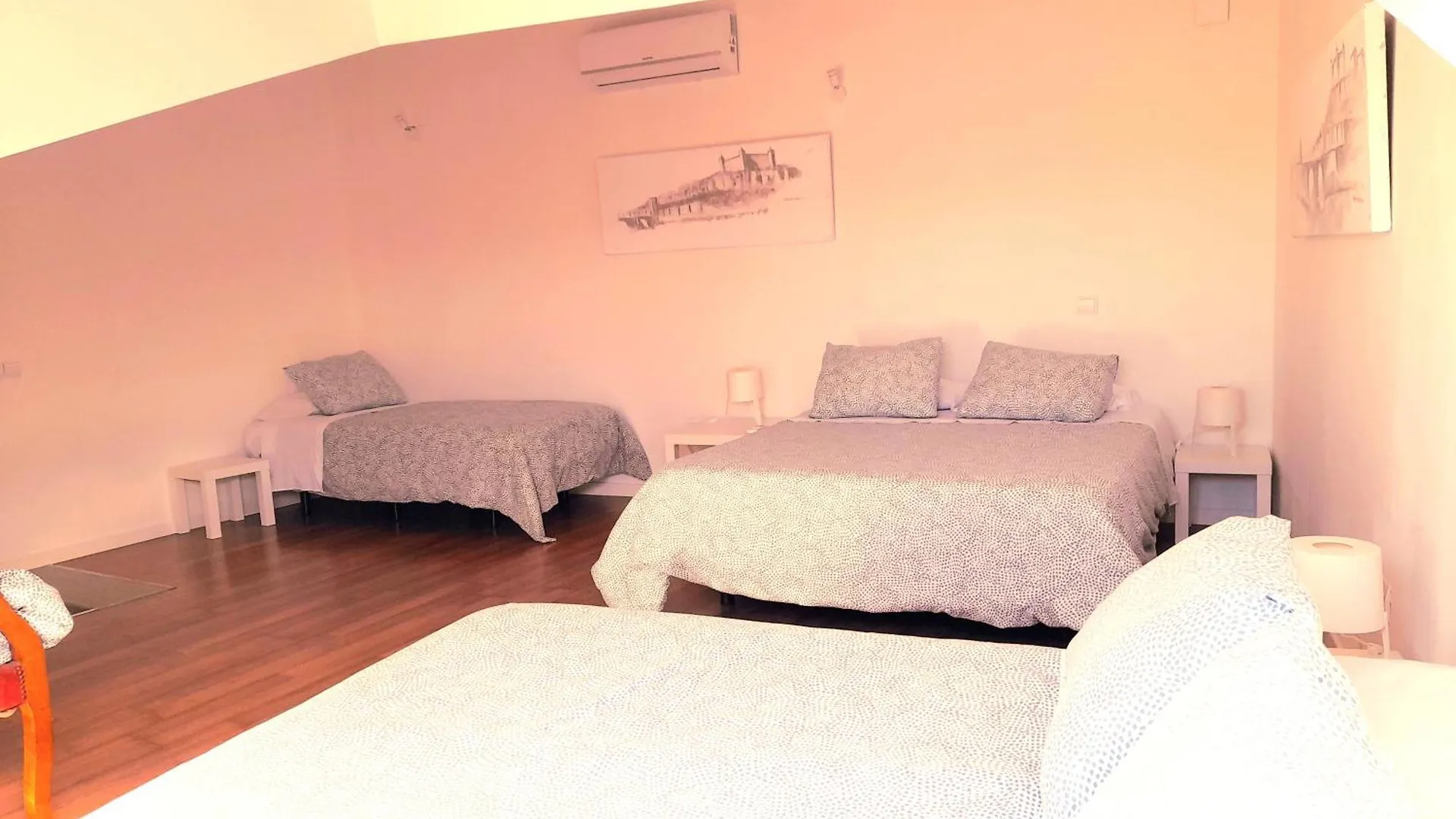 Apartment Toletum Low Cost Lofts Diafanos O 2Dormitorios Parking Municipal Gratis Al Aire Libre A 100M Toledo Spain